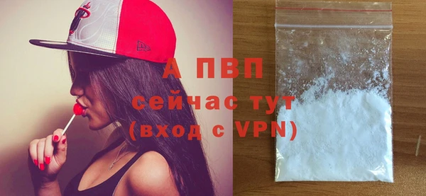 спиды Белокуриха