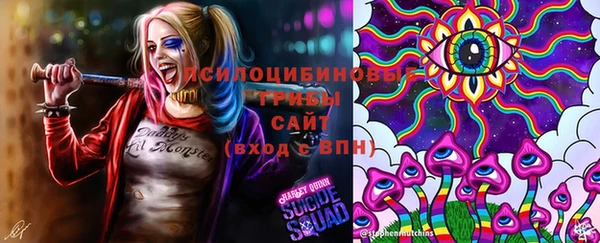 марки nbome Беломорск
