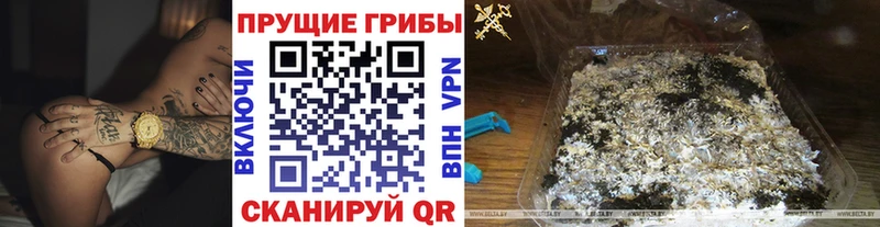 Галлюциногенные грибы ЛСД  Купить закладки  Александров 