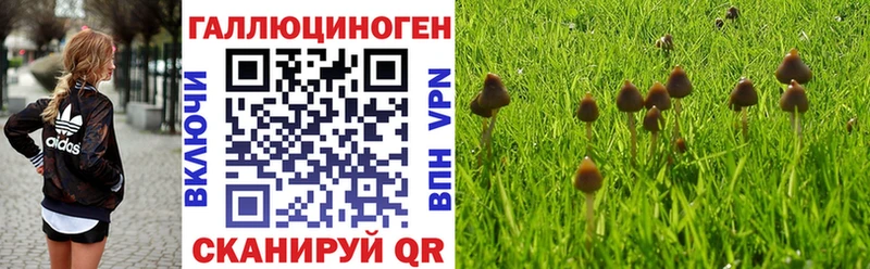 Галлюциногенные грибы мухоморы Александров